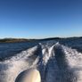 Yamarin Day Boat Image 6