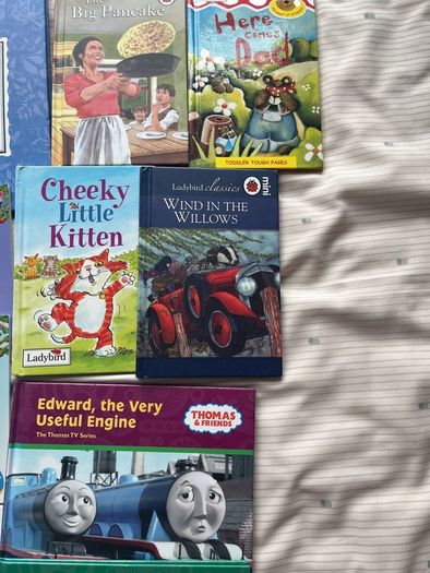 Children's book bundle- good condition and some new