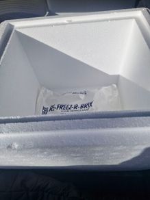 Cooler Boxes Perfect for Festivals etc.