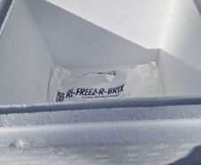 Cooler Boxes Perfect for Festivals etc.