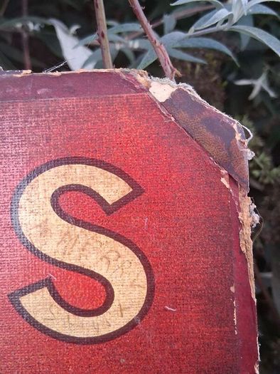 Original Wincarnis Art Nouveau Cardboard Sign