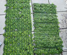 Artificial Fence Screening