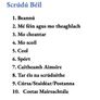 Leaving Cert Irish Oral Exam Notes Image 2