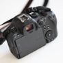 Canon R6 Mk 2 Image 5
