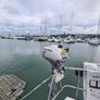 rib and outboard Image 5