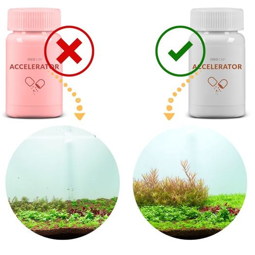 AQUARIO Neo CAP Accelerator - Supports fish/shrimp breeding and appetite