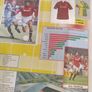 Merlin's Premier League 95 Sticker Collection 90% Complete - Poor Condition Image 8