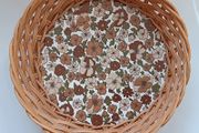 Woven Wicker Basket