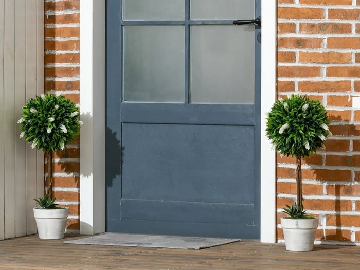 artificial decorative plants