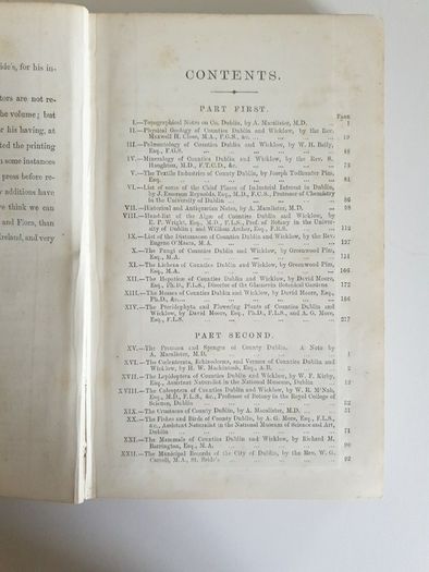 1878 Guide to City and County of Dublin