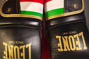 Leone Boxing Gloves light (Bag gloves)