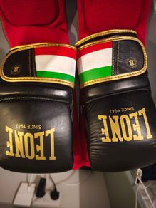 Leone Boxing Gloves light (Bag gloves)