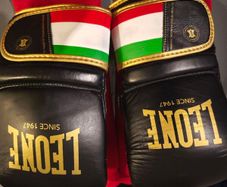 Leone Boxing Gloves light (Bag gloves)