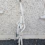 Core exercise machine Image 10