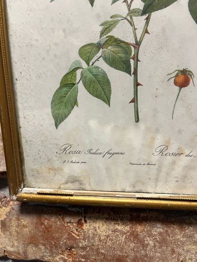 vintage pictures