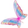 Fairy wings Image 2