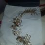 Azzure Bridal Headpiece / Bridal Crown Image 4