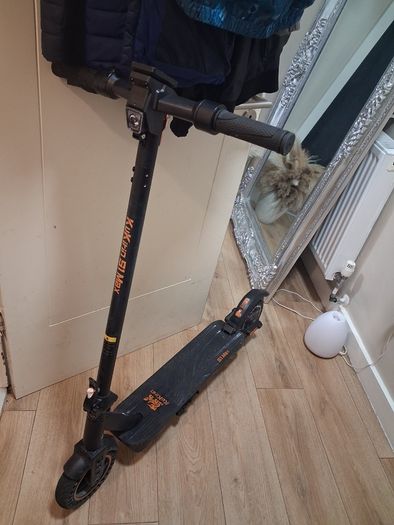 Electric scooter