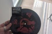 Muse - Knights Of Cydonia (7", Single, Picture Disc) Vinyl