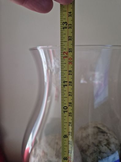 2 Large Delicate Glass Vases
