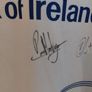leinster rugby jersey signed Image 2