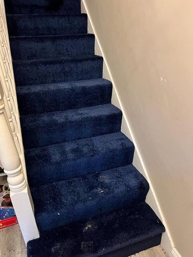 Carpet