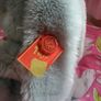 Keel toys rabbit bunny Image 3