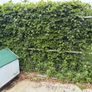 dog pen Image 4