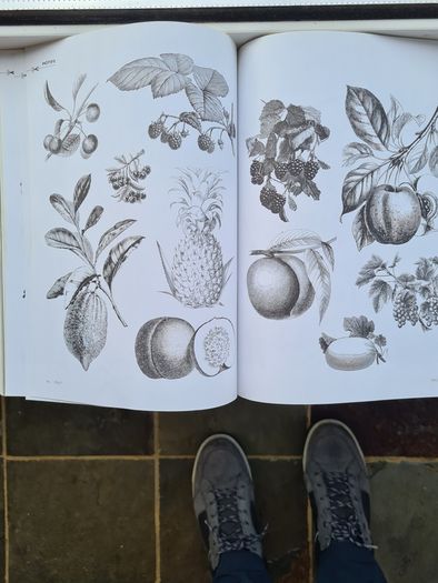 The Decoupage Sourcebook. Includes 64 Pages Of Motifs To Cut Out. By Jovasta Innrs & Stewart Walton.