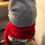 Hat plus red scarf and Beige and cream scarf Image 3