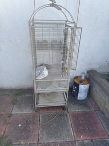bird cage