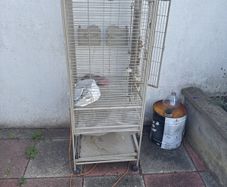 bird cage