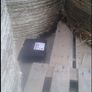 STRONGEST Rat Killer / Rat Poison Image 4