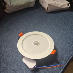 Motion sensor ceiling light