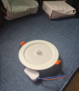 Motion sensor ceiling light
