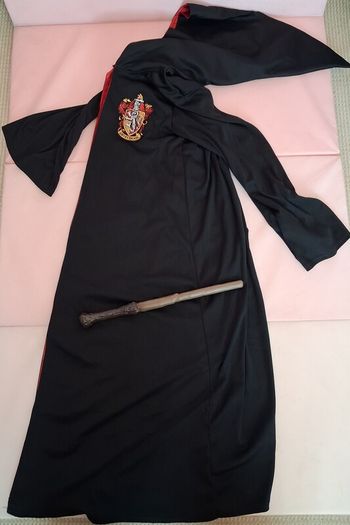 Harry Potter Cape and Wand
