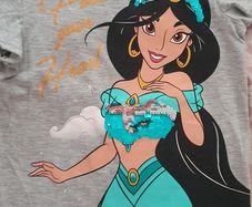Jasmine Disney princess top/tshirt