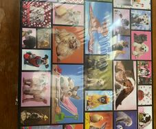 New 1000 Piece Jigsaw