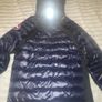 canada goose Image 3