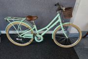 Pendleton 24"