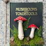 The Ultimate Mushroom and Toadstool Book and Bookmark Image 6