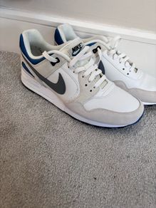 Nike Pegasus trainers