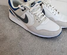 Nike Pegasus trainers