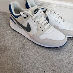 Nike Pegasus trainers