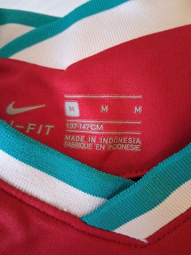 Liverpool Jersey. Official Nike Liverpool FC Boys Girls Age 10 To 12 Years Home Jersey.  Collect In Dublin Or Receive Via Post.