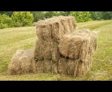 Square bales