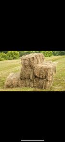 Square bales