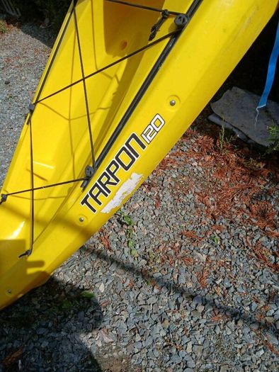 Kayak