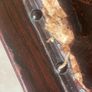 Rare antique low shoe changing bench. With celtic design embossed in the  leather Image 8