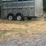 Cattle trailer Image 3